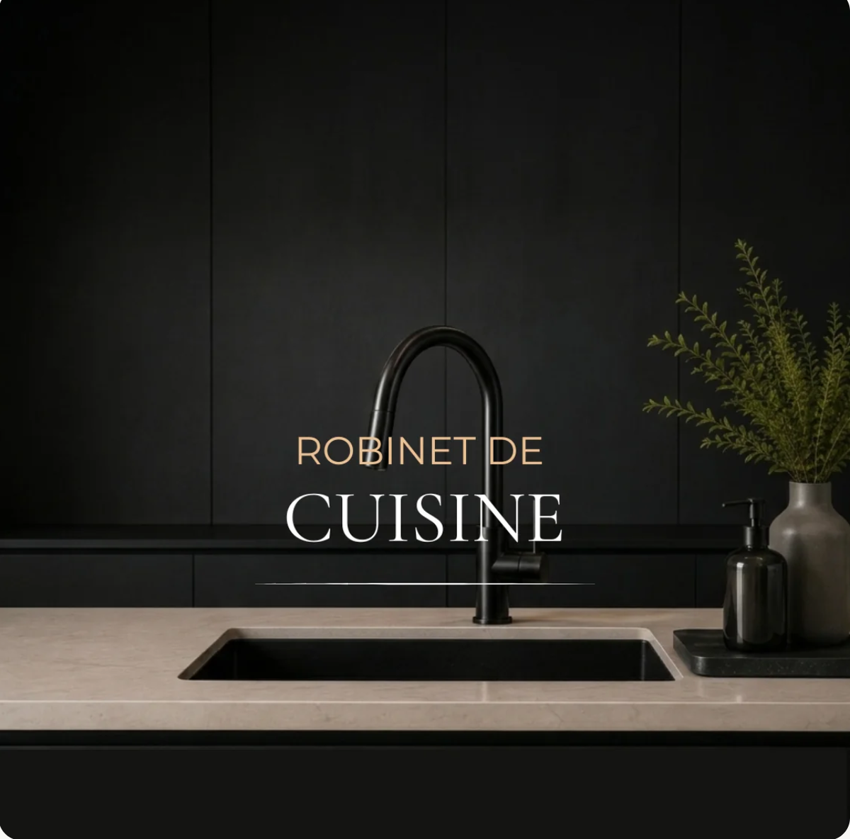 Robinet de cuisine Image