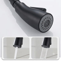 Robinet douchette pour cuisine prestige