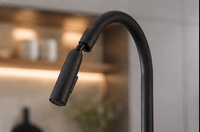 AQUAFLEX™ - Mitigeur de Cuisine Bec Extractible