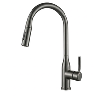AQUAFLEX™ - Mitigeur de Cuisine Bec Extractible