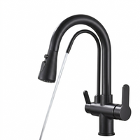 Nova™ – Robinet de Cuisine Extractible 360°