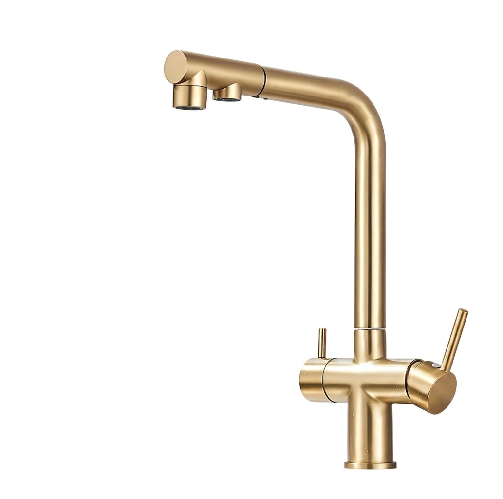 Robinet de cuisine 3-en-1 avec douchette et sortie pour eau filtrée