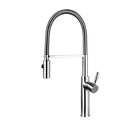 PROFLOW™ - Robinet avec bec flexible et extractible