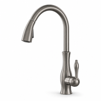 Robinet douchette pour cuisine prestige