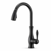 Robinet douchette pour cuisine prestige
