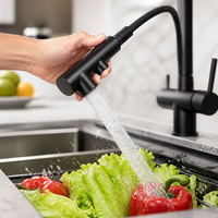Robinet de cuisine 3-en-1 avec douchette et sortie pour eau filtrée