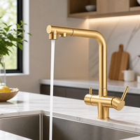 Robinet de cuisine 3-en-1 avec douchette et sortie pour eau filtrée